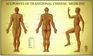 Acupuncture meridians